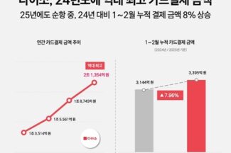 다이소 1~2월 카드결제액 3395억원…전년 대비 8% 증가