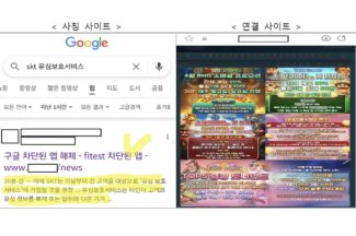 유심 무상 교체, 유심보호서비스 관련 피싱·스미싱 공격 주의