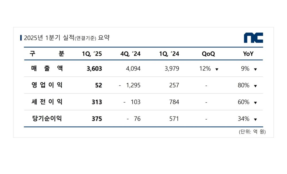 “내년 2조원 간다” 과연? 엔씨에 쏟아진 질문
