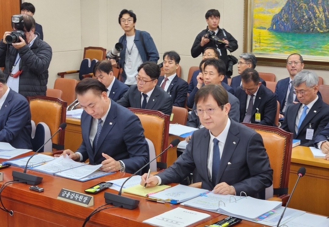 [2025국감] 이찬진 금감원장 “AI 규율체계 마련”