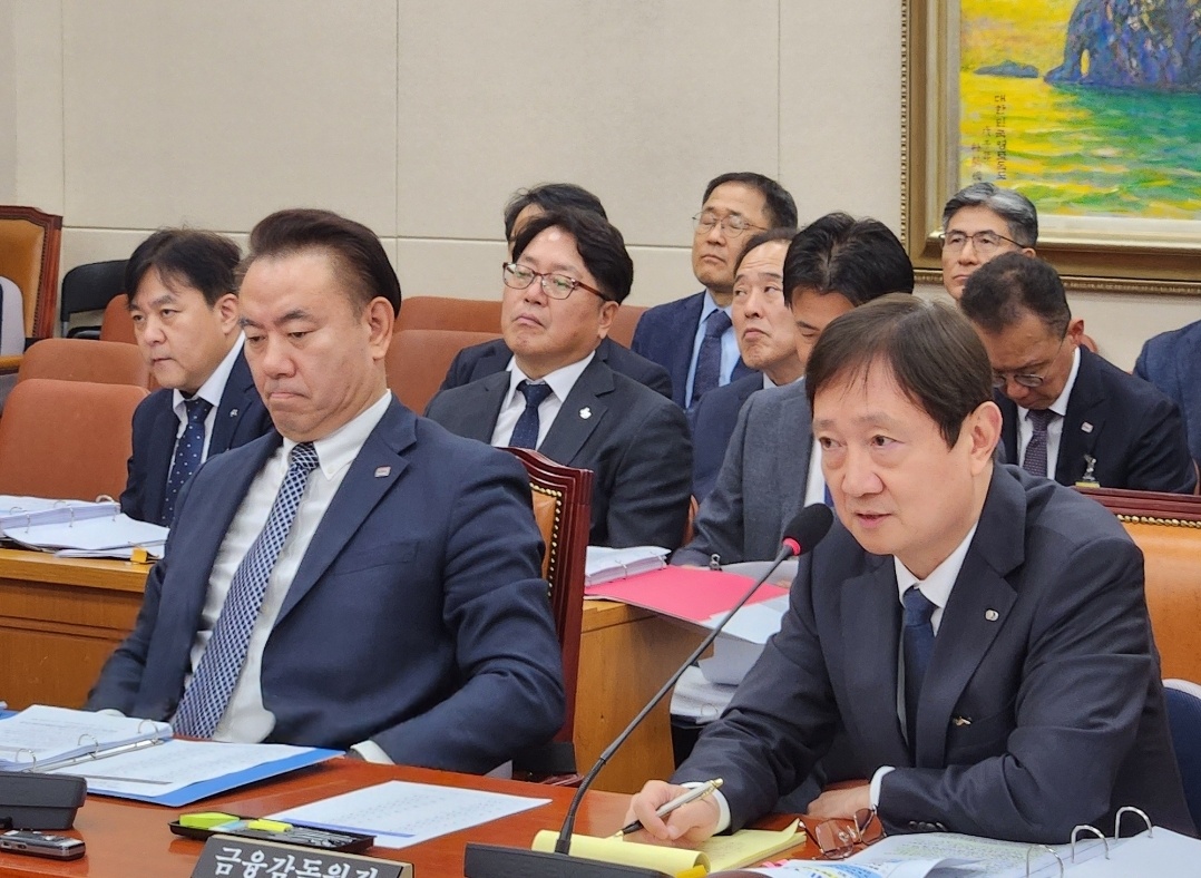 [2025국감] 이찬진“해외 선진사례 참고해 디지털자산 감독체계 설계”