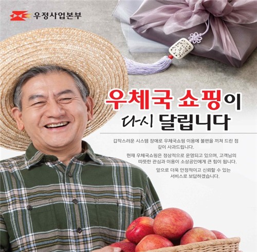 국정자원 화재로 멈춘 우체국 쇼핑몰, 9일 18시 운영 재개