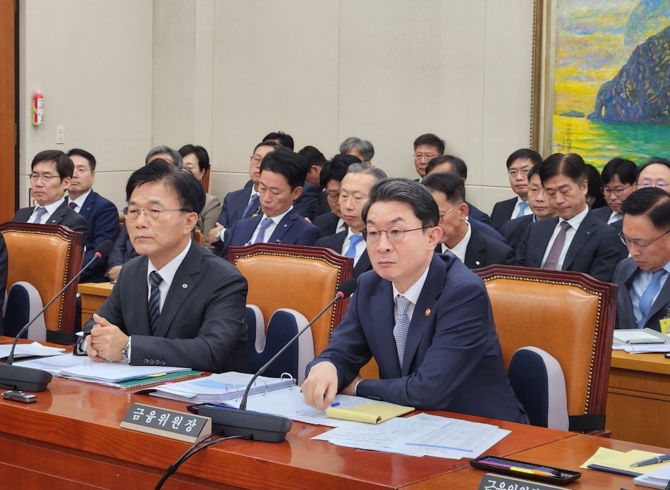 [2025국감] 이억원 금융위원장 “스테이블코인 포함 2단계 법안 연내 제출”